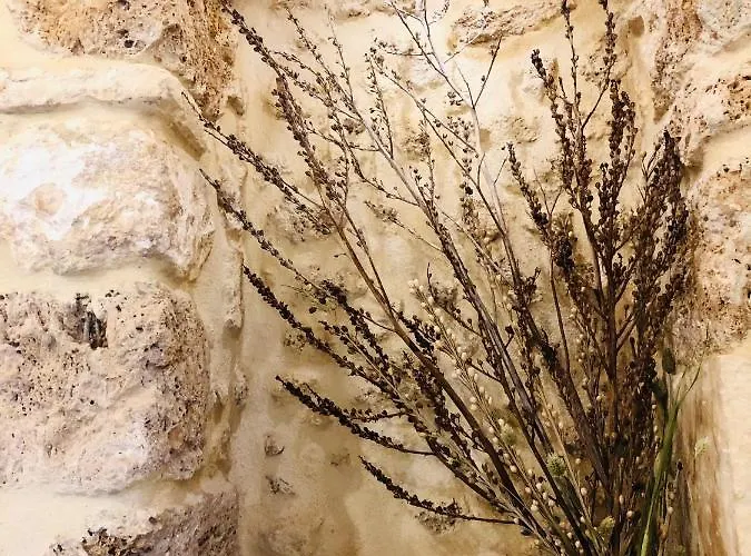 O'scia Loft 펜션 *